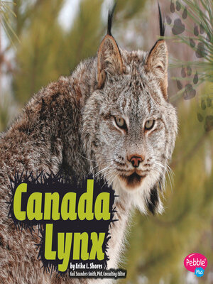 cover image of Canada Lynx